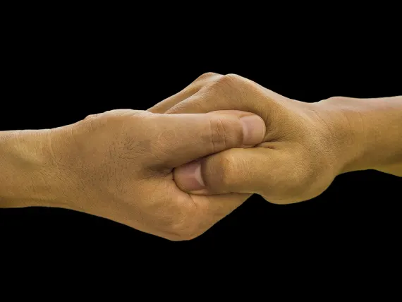 BlueFox Cazino Cazinou Suport